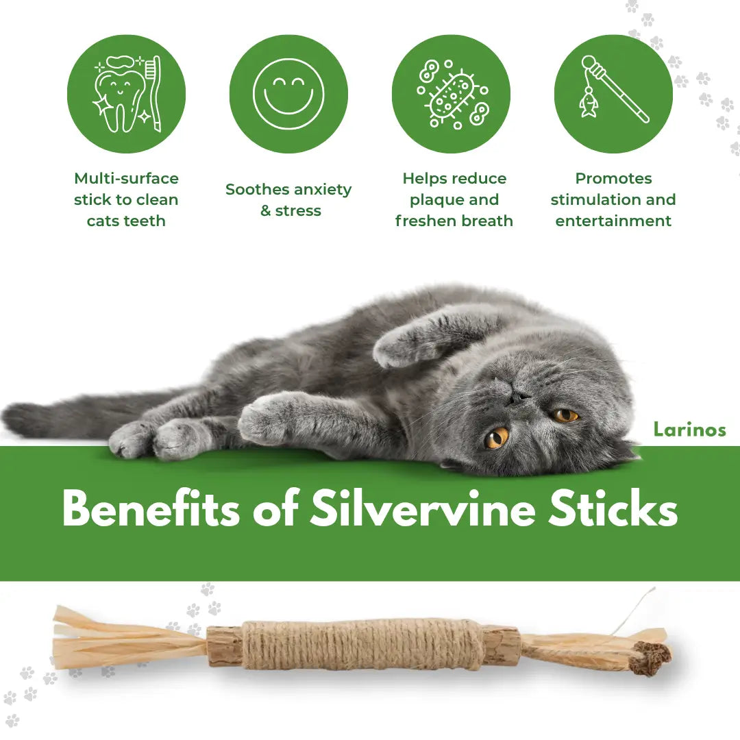 Larinos™ Natural Silvervine Dental Sticks