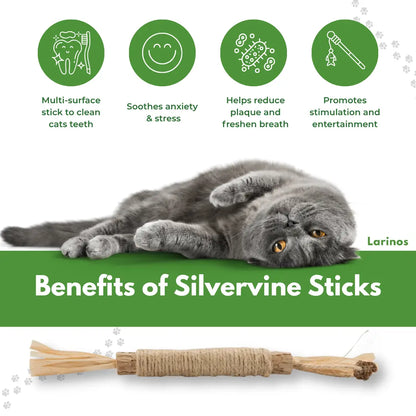 Larinos™ Natural Silvervine Dental Sticks