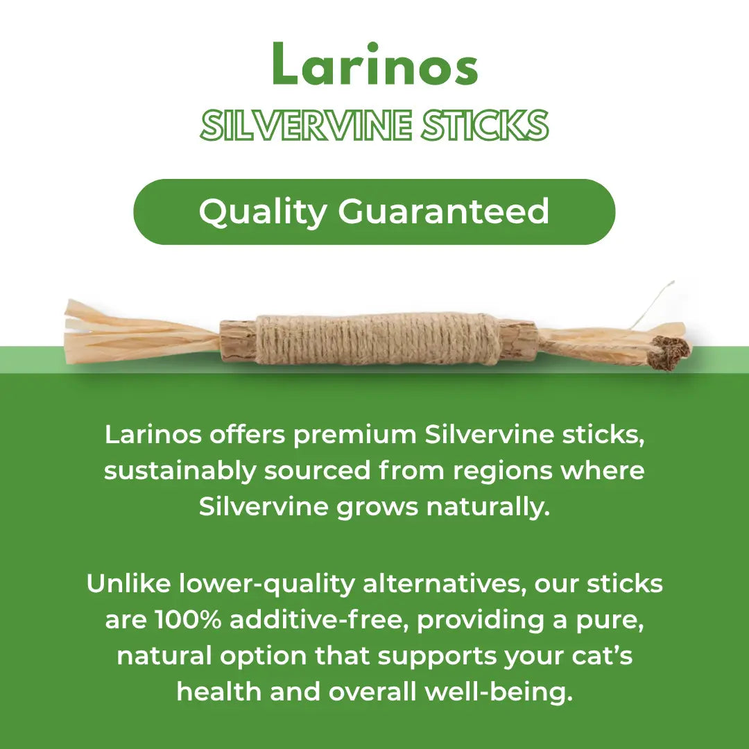 Larinos™ Natural Silvervine Dental Sticks