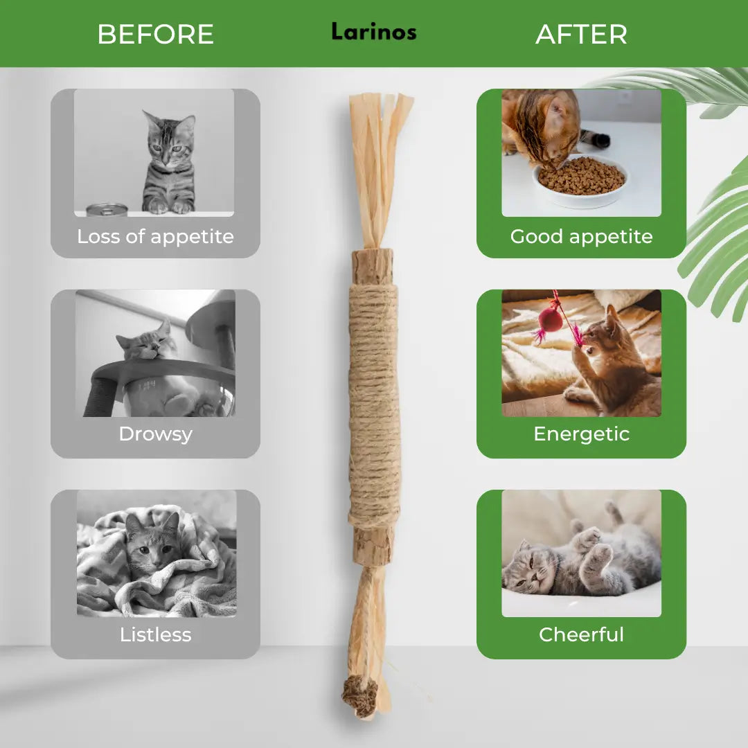 Larinos™ Natural Silvervine Dental Sticks