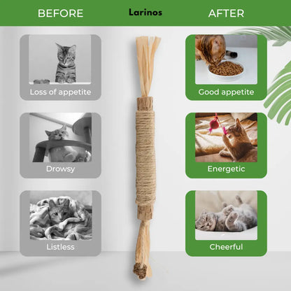 Larinos™ Natural Silvervine Dental Sticks