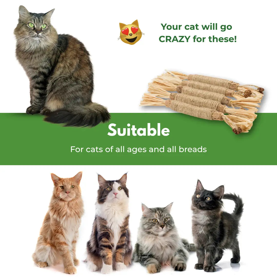 Larinos™ Natural Silvervine Dental Sticks