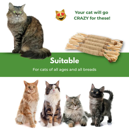 Larinos™ Natural Silvervine Dental Sticks