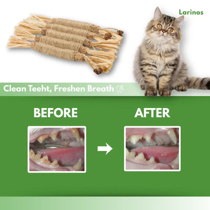 Larinos™ Natural Silvervine Dental Sticks