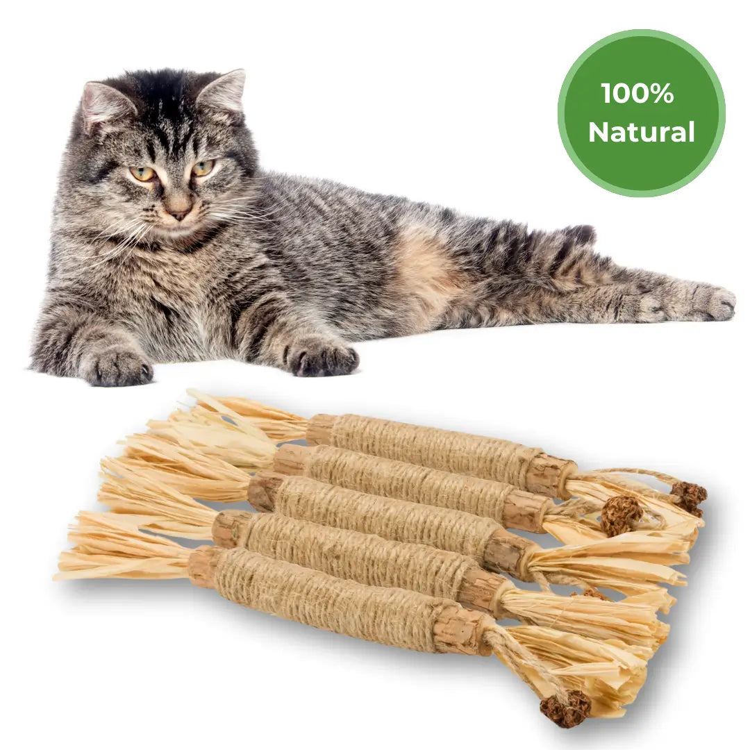 Larinos™ Natural Silvervine Dental Sticks