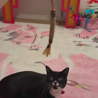 Larinos™ Natural Silvervine Dental Sticks